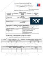 Informe Diagnóstico