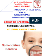 Clase 8 Nomenclatura Dentaria