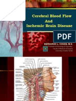 Cerebral Blood Flow Stroke