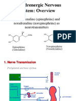 I. Adrenergic Nervous System: Overview