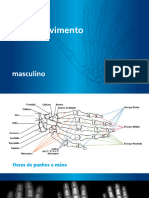 Atlas de Desenvolvimento Ósseo - Novo Nordisk