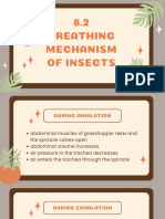 Bio 8.2 (Grasshopper)