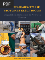 Muestra Mantenimiento Motores Electricos - Roni Dominguez