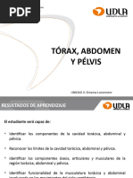 Clase 4 Tórax, Abdomen y Pelvis