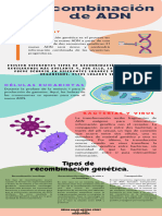 Recombinación Genética