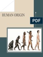 Human Origin