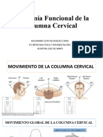 Anatomía Funcional de La Columna Cervical