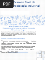 Examen Final Micro Industrial - 1