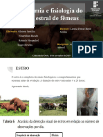 Anatomia e Fisiologia Do Cilco Estral de Éguas e Vacas (Salvo Automaticamente) - 1