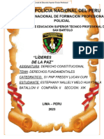 Trabajo Aplicativo Individual Derechos Fundamentales