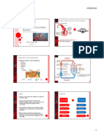 Aula 5 - Sistema Circulatório - 3