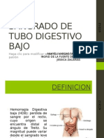 Sangrado de Tubo Digestivo Bajo