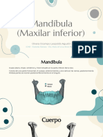 Mandíbula M.Mastiación ATM