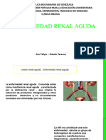 Enfermedad Renal Aguda