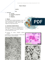 Guion Tema 4 Citosol Inclusiones Citoplasmaticas y Ribosomas