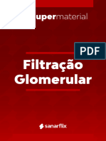 Filtraoglomerular 230901 154718 1693898602