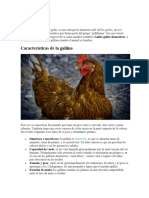 Gallina Disertacion