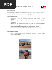 Funciones Del Vigía de Tránsito