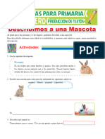 Describigemos A Una Mascota para Tercero de Primaria