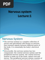 Nervous System 1