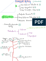 Femoral Artery PDF