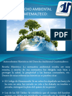 Clase 1 Legislación Ambiental Guatemalteca Antecedentes y Definicion