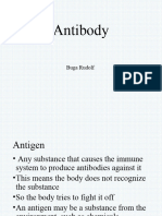 ANTIBODIES