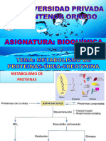 Metabolismo de Las Proteínas