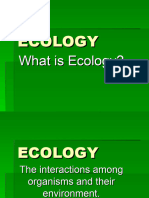 Ecology 2