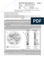 Teste 2 - BG 10.º Ano