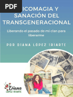 Dosier Apuntes Del Transgeneracional Diana López Iriarte