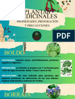 Plantas Medicinales