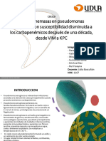 CAT4 - CBI319 - Formato Presentacion TS