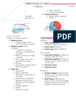 Embriología Cabeza y Cuello Resumen