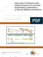 Caso Clinicos - Campos Visuales