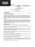 FG O IPET-2010-231 Terminacion y Mantenimiento de Pozos