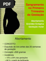 Sangramento No Primeiro Trimestre Da Gestação