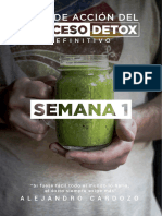 (Semana 1) Plan de Acción Proceso Detox Final