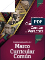 Marco Curricular Comun Veracruz