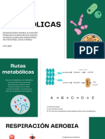 Rutas Metabólicas