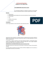 4b - TP - Disección de Corazón