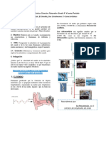 Guia Noveno Fisica El Sonido y Sus Caracteristicas 4