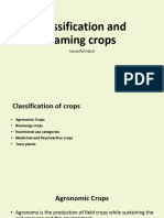 Classification and Naming Crops