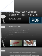 Bacterial Isolation From Wounds-1