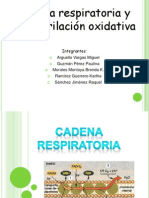 Fosforilacion Oxidativa Teoria Quimiosmotica