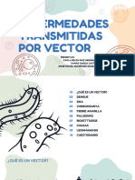 Enfermedades Transmitidas Por Vector