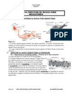 Leçon N°10 Structure Du Muscle Strie Squelettique