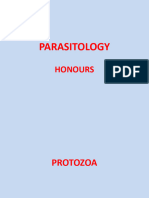 Hons 2 - Protozoa BB2