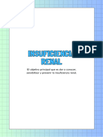 Monografia Insuficiencia Renal - Biologia