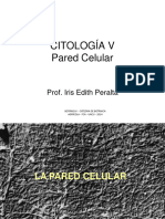 Clase 11 CITOLOGÍA 5 PARED CELULAR Botánica I FCA-UNCU